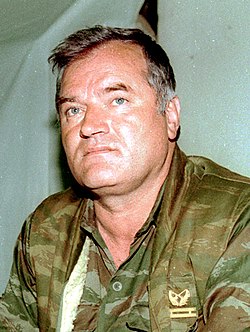 Autor Фото: Михаил Евстафьев / Photo by Evstafiev Mikhail, CC BY-SA 3.0, https://commons.wikimedia.org/w/index.php?curid=598444